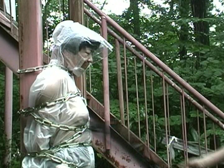 サンプル画像 11