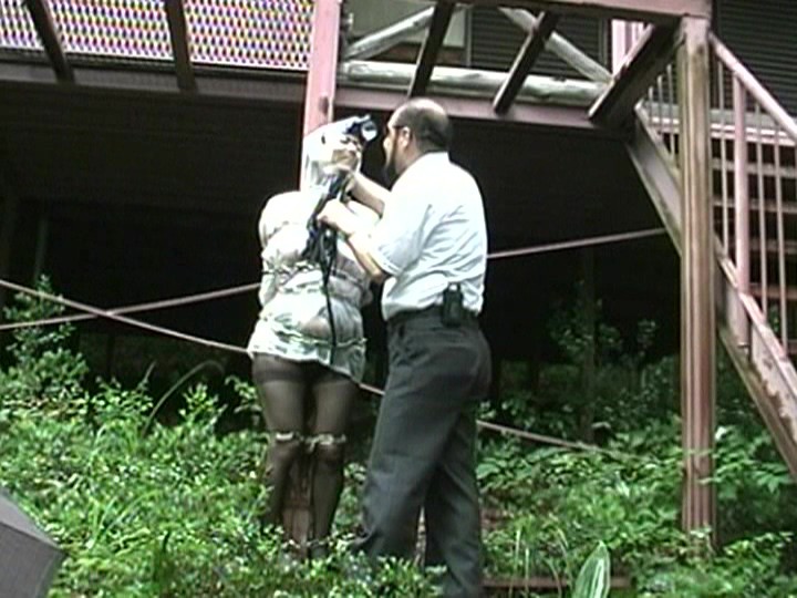 サンプル画像 12