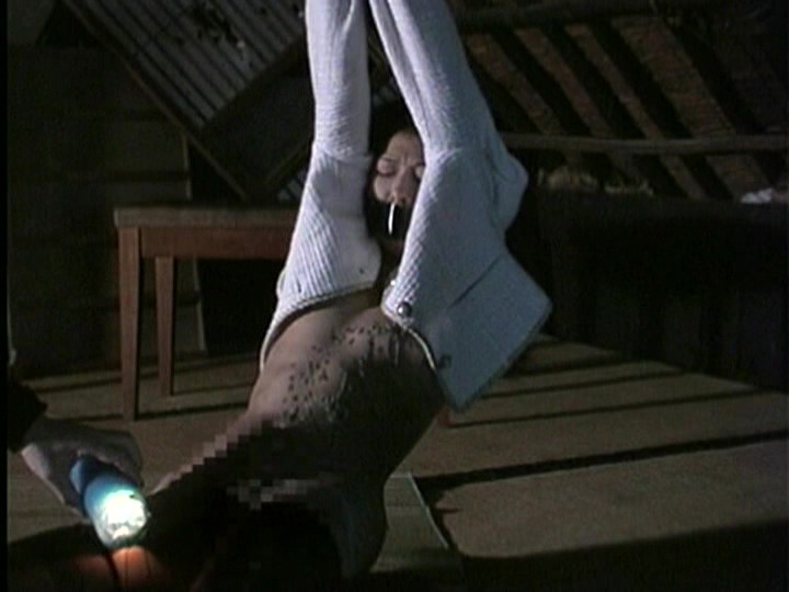 サンプル画像 9