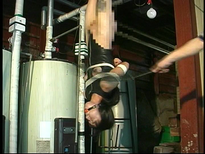 サンプル画像 10