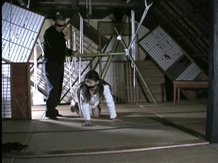 サンプル画像 3