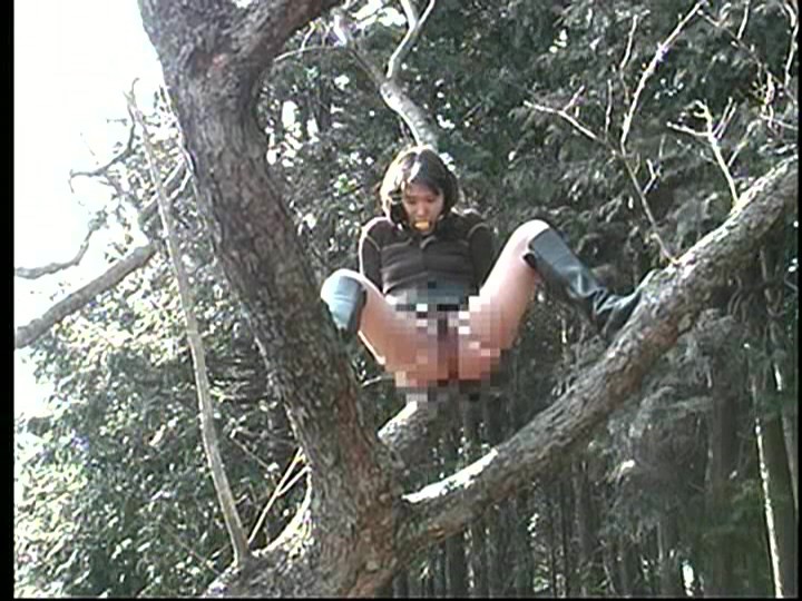 サンプル画像 12