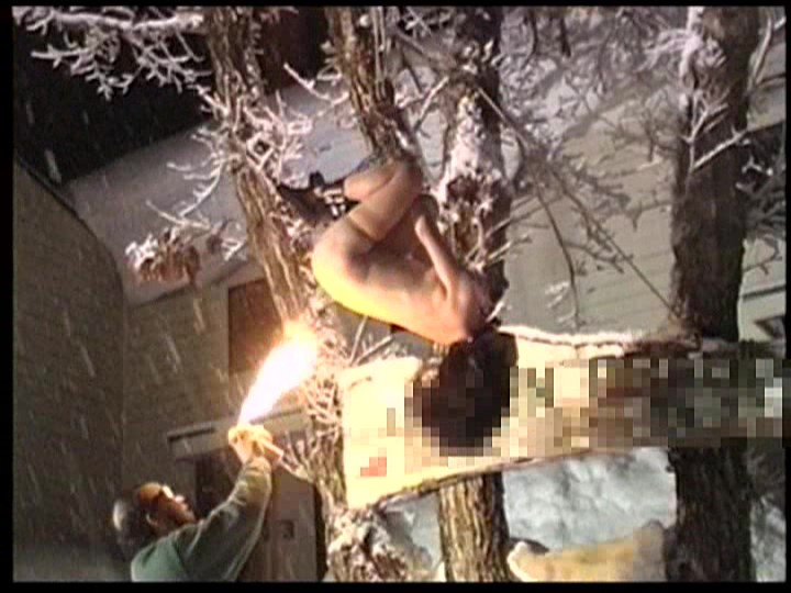 サンプル画像 7