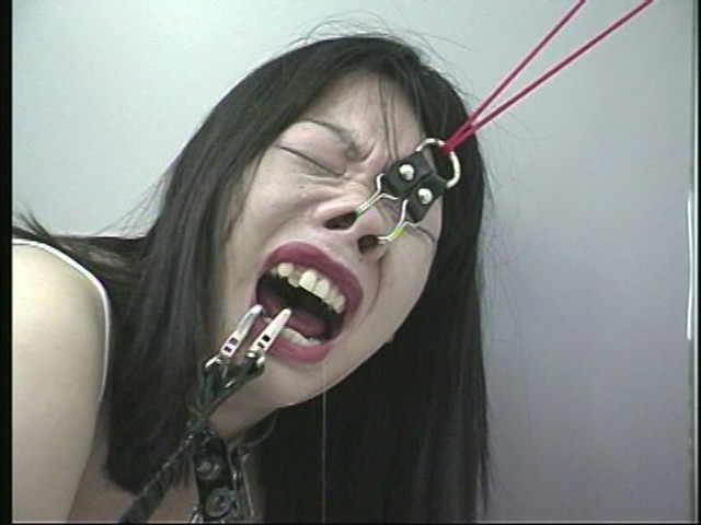 サンプル画像 17