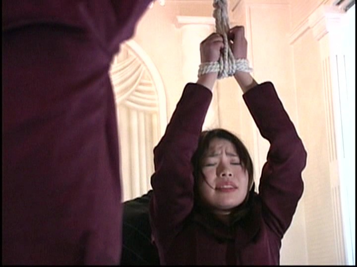 サンプル画像 12