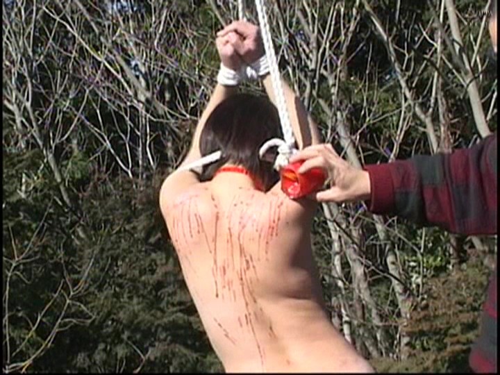 サンプル画像 11