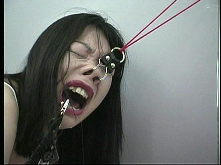 サンプル画像 8