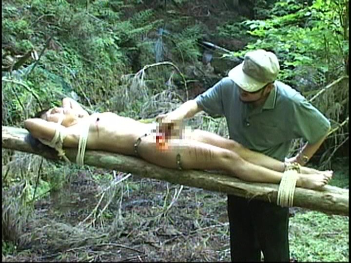 サンプル画像 5