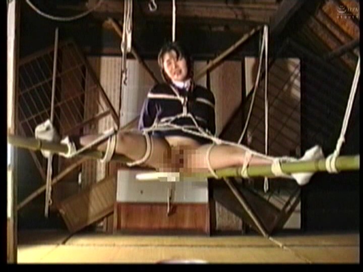 サンプル画像 4