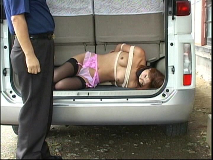 サンプル画像 13