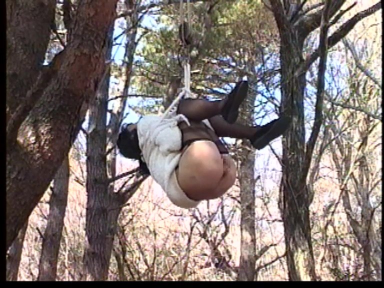 サンプル画像 12