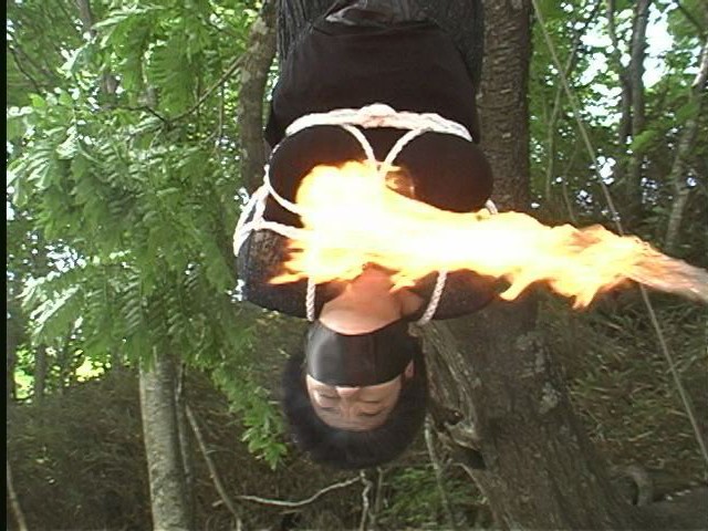 サンプル画像 21