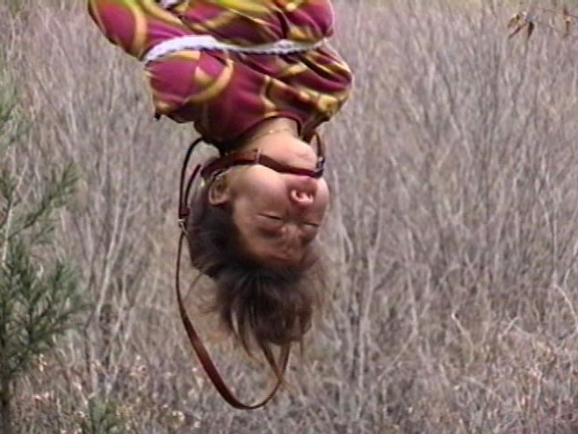 サンプル画像 3