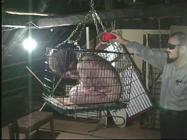 サンプル画像 21