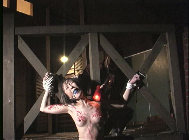 サンプル画像 8