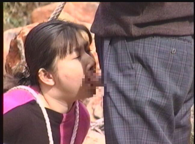 サンプル画像 14