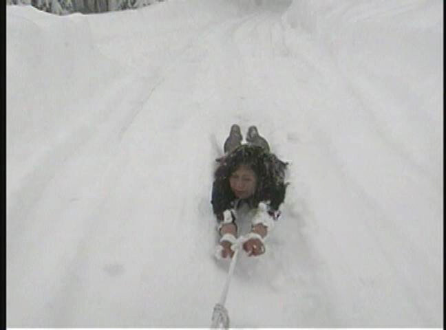 サンプル画像 9