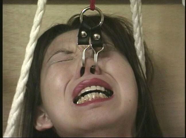 サンプル画像 3