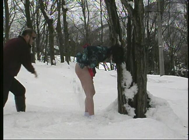 サンプル画像 13