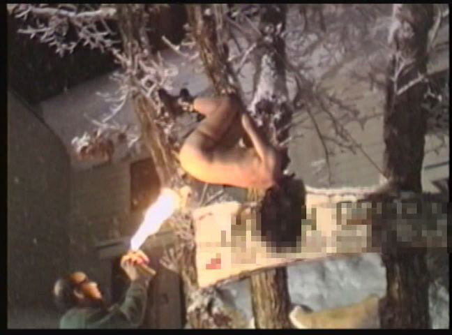 サンプル画像 11