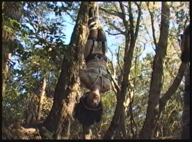 サンプル画像 4