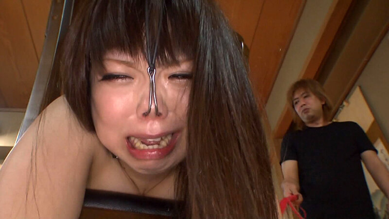 サンプル画像 11