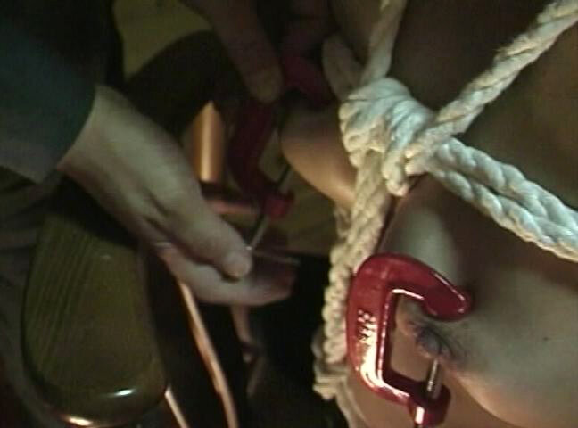 サンプル画像 12