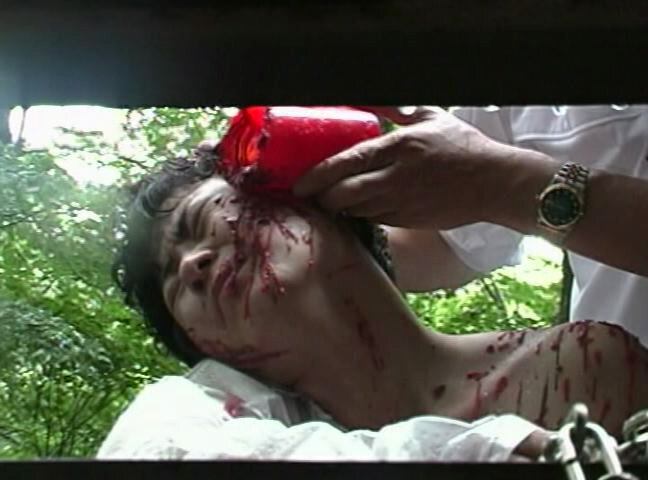 サンプル画像 5