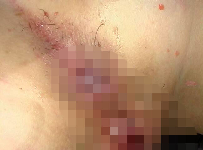 サンプル画像 16