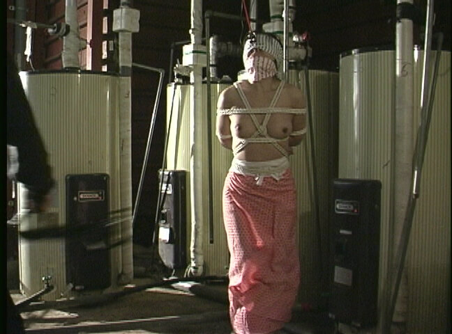 サンプル画像 11