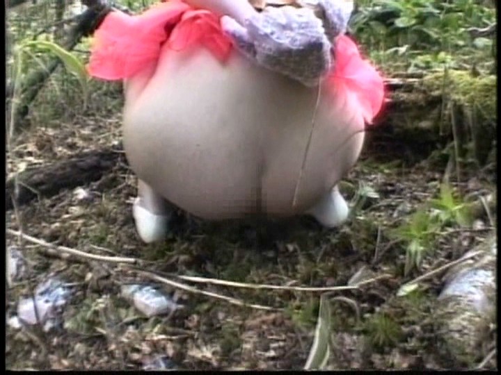 サンプル画像 20