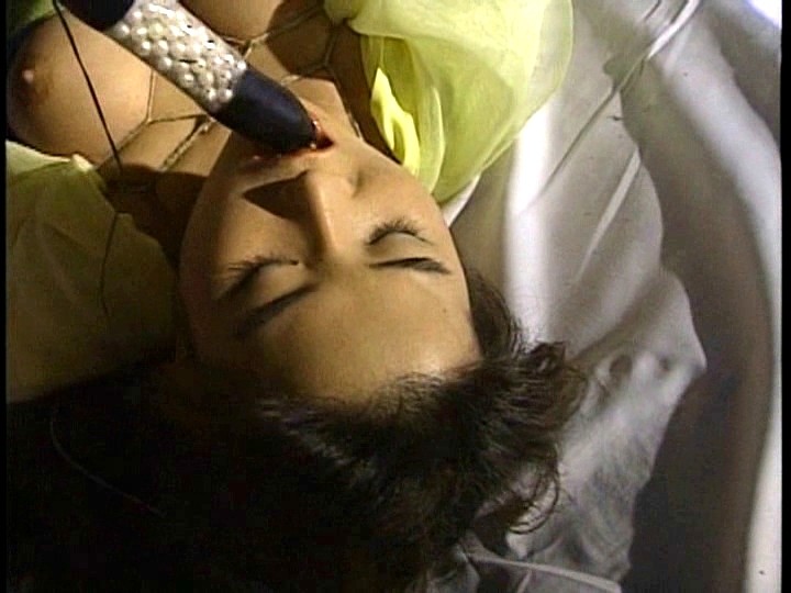 サンプル画像 12