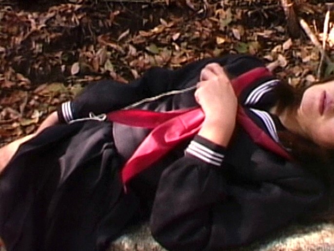 サンプル画像 13