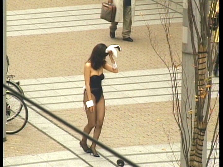 サンプル画像 13