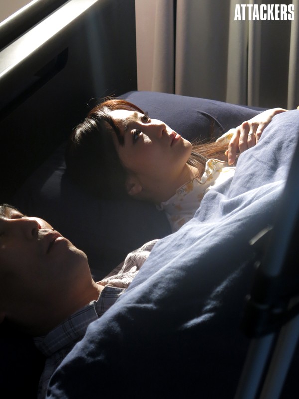 サンプル画像 13