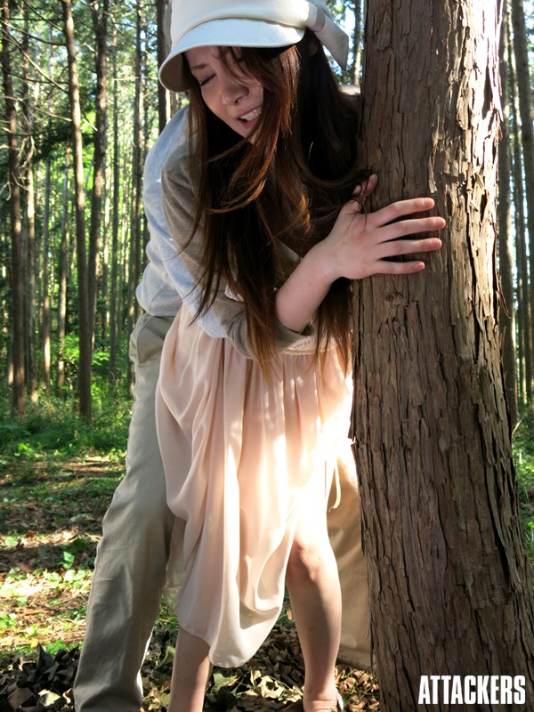 サンプル画像 5