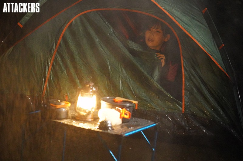 サンプル画像 13