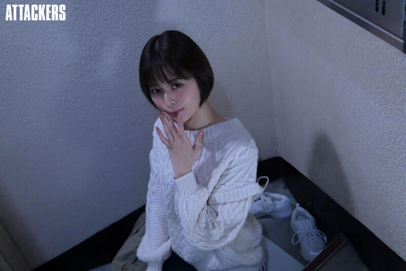 サンプル画像 4