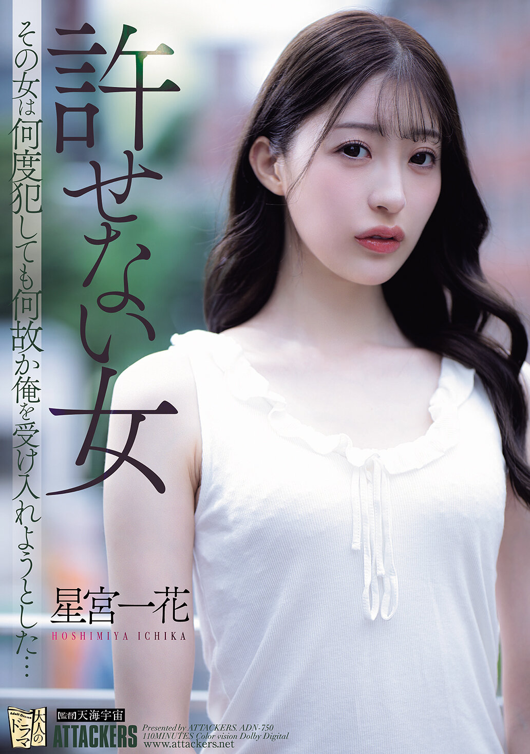 パッケージ画像