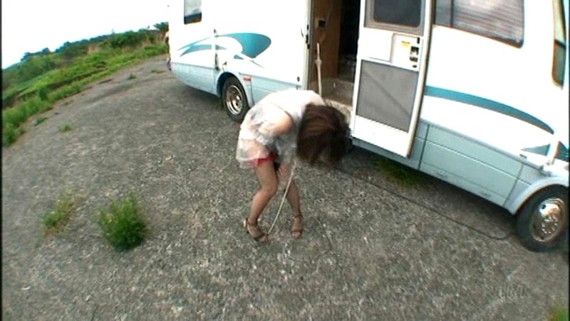 サンプル画像 7