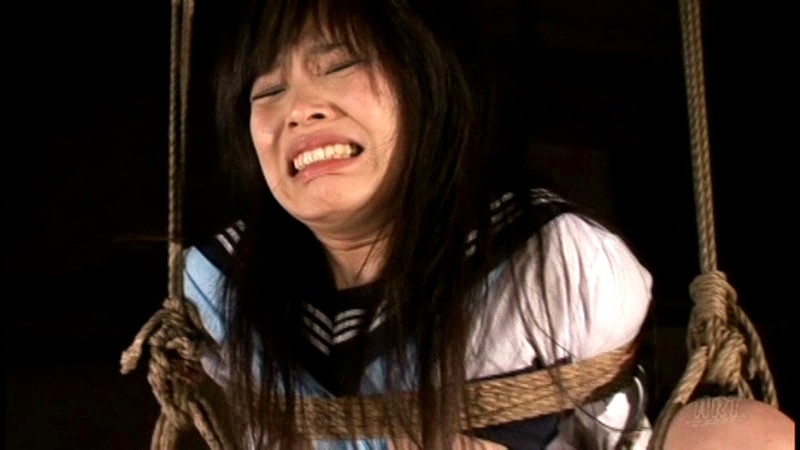 サンプル画像 16