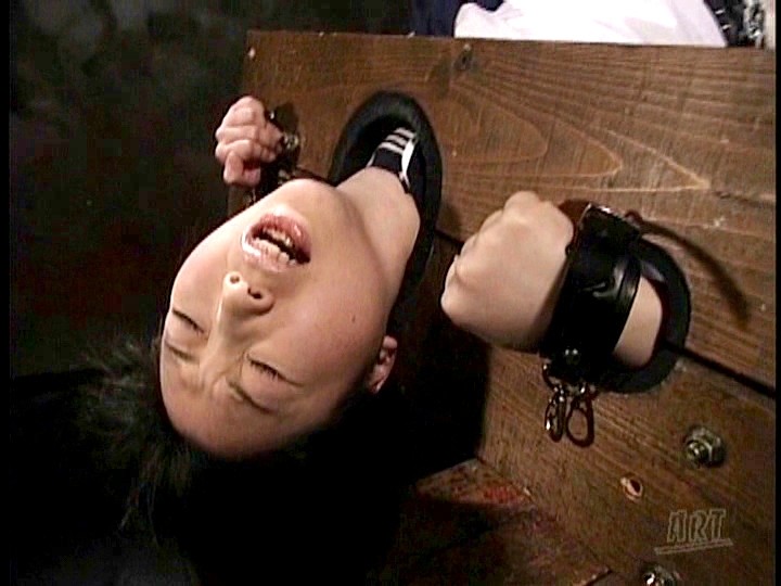 サンプル画像 11