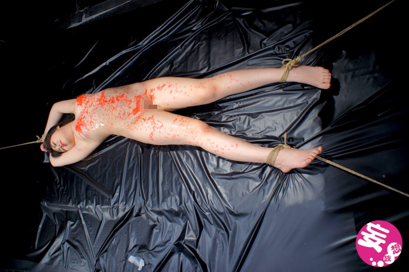 サンプル画像 9