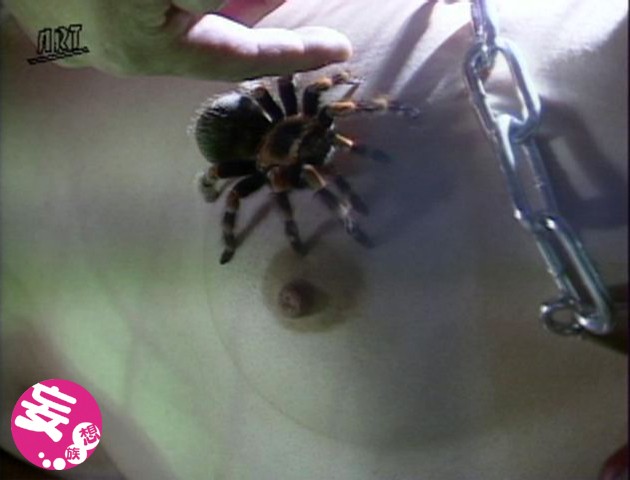 サンプル画像 2