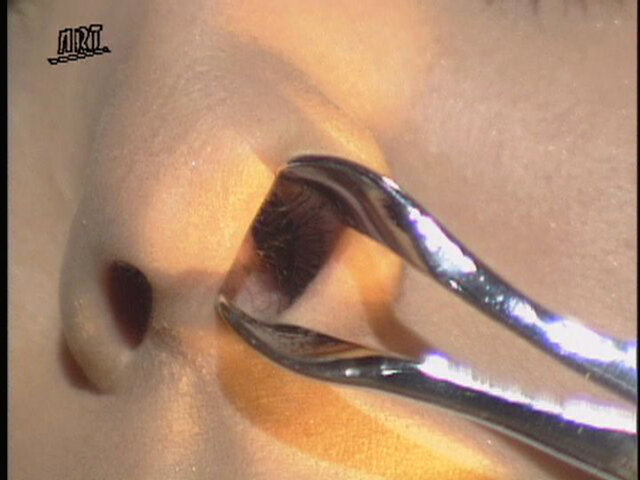 サンプル画像 20