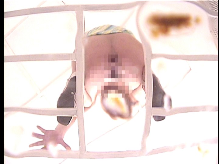 サンプル画像 6