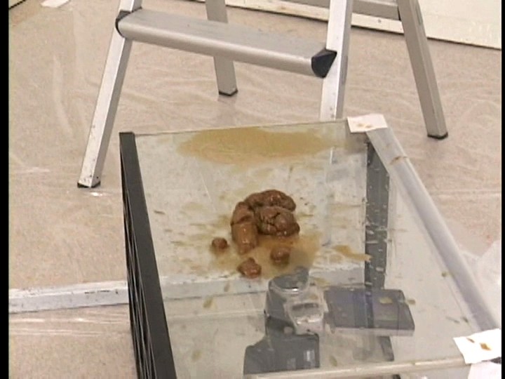 サンプル画像 10