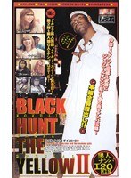 パッケージ画像