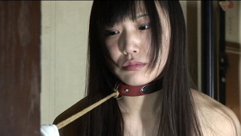 サンプル画像 11