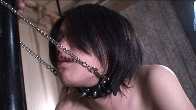 サンプル画像 9